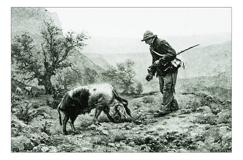 Are Small Caps an Attractive Hunting Ground?